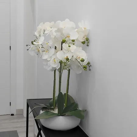 Apartman El Rincon De La Estacion *